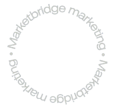 Professional in digital marketing working on social media ads and audience targeting strategy